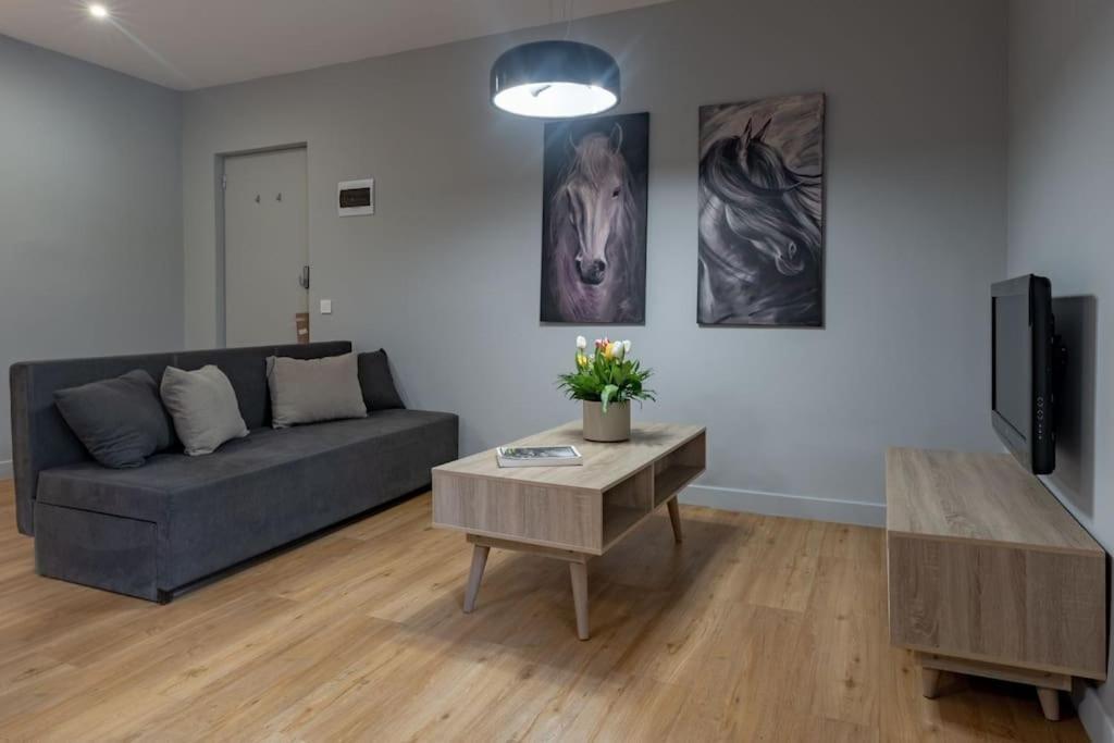 Modern, Quite 1-bdr 5 Min Walk To Acropolis *